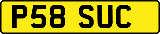P58SUC