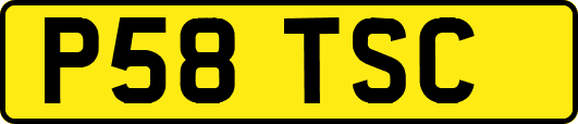P58TSC