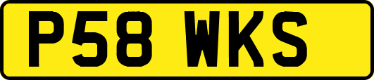 P58WKS