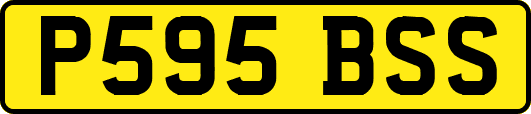 P595BSS