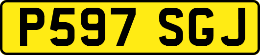 P597SGJ
