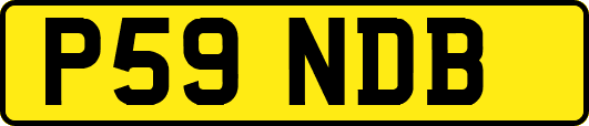 P59NDB
