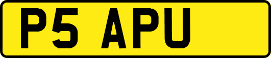 P5APU