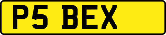 P5BEX