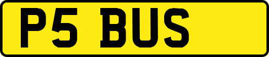 P5BUS
