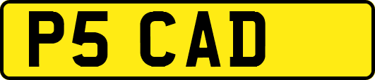 P5CAD