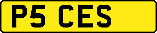 P5CES