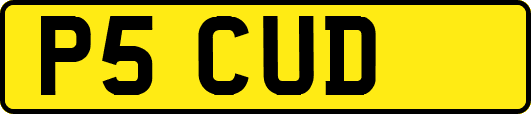 P5CUD