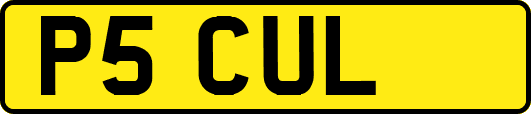 P5CUL