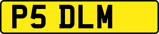 P5DLM