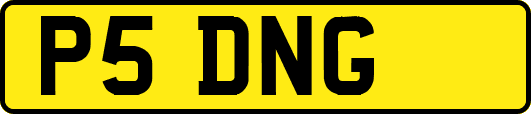 P5DNG