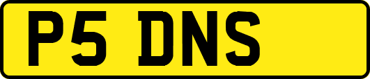 P5DNS