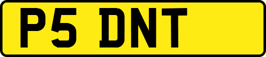 P5DNT