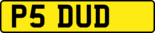 P5DUD