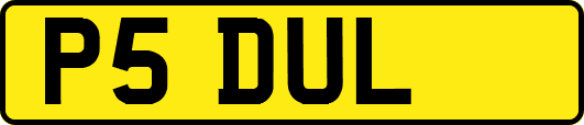P5DUL