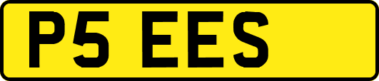P5EES