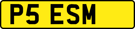 P5ESM
