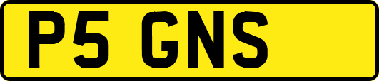 P5GNS