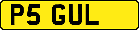 P5GUL