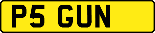 P5GUN