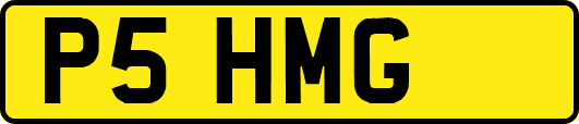 P5HMG