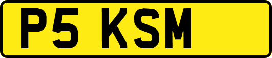 P5KSM