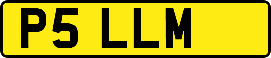 P5LLM