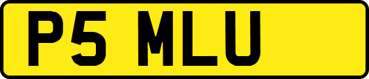 P5MLU
