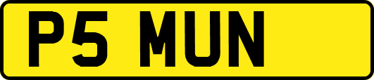 P5MUN