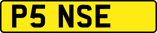 P5NSE