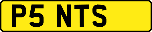 P5NTS