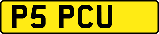 P5PCU