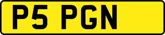 P5PGN