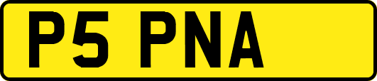 P5PNA