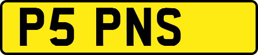 P5PNS