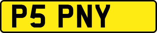 P5PNY