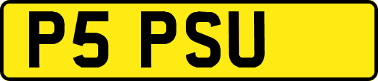P5PSU