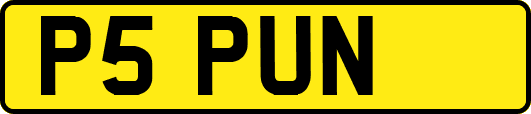 P5PUN