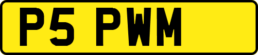 P5PWM