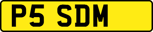 P5SDM