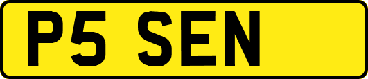 P5SEN