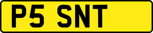 P5SNT