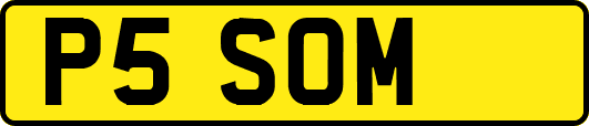 P5SOM