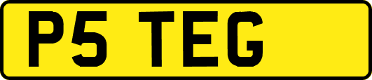 P5TEG