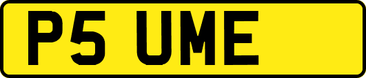 P5UME