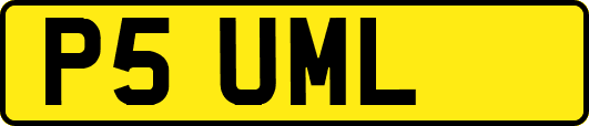 P5UML