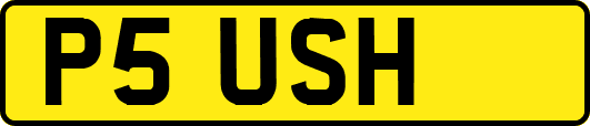 P5USH