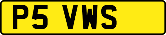 P5VWS