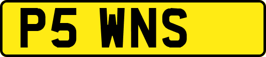 P5WNS
