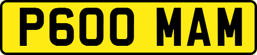 P600MAM